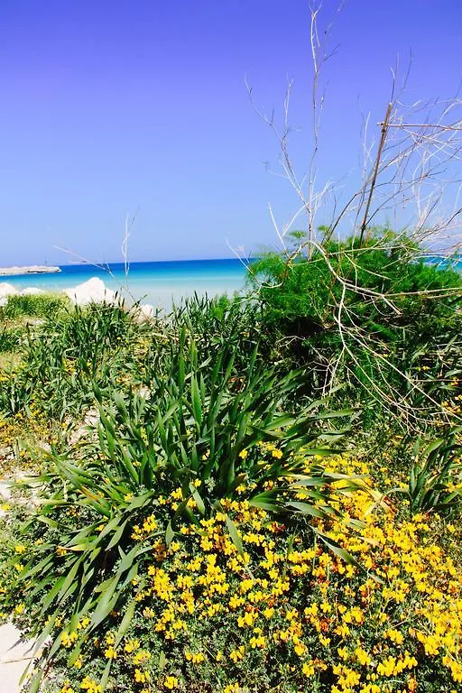 Appartamento Il Borgo Trapanese Trapani